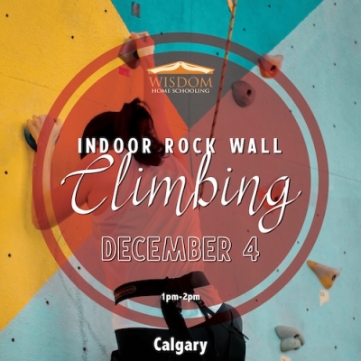 Indoor Rock Wall Climbing - Calgary F